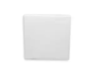 קנבס 20X20