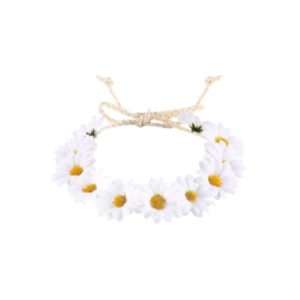 16138 כתר חמניות על כארד/ 6 יחידות במארז