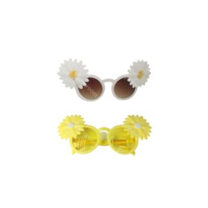 14115 משקפים חמנייה על כארד