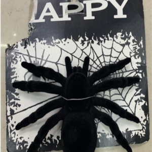 16238 עכביש דקורציה גדול על כארד/ 6 יחידות במארז