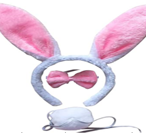 7167 סט שפנפנה 3 חלקים קשת זנב ופפיון על כארד/ 6 יחידות במארז