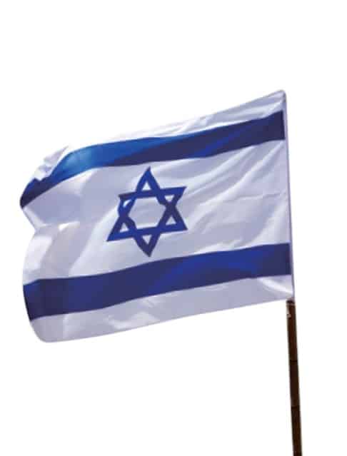 דגל ישראל 110*150