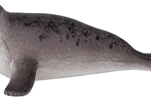 כלב ים - אפור