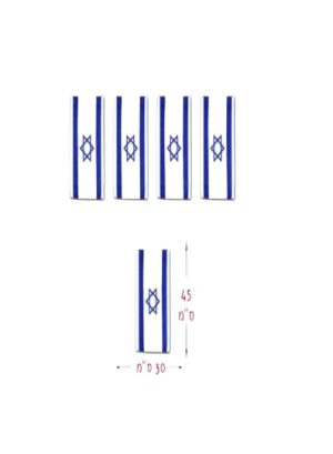 שרשרת דגלונים ישראל 30*45 אורך 4 מטר
