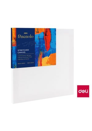 קנווס 40*30 279-7 deli