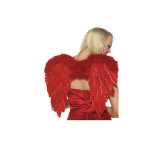 כנפי נוצות אדום 60 ס"מ בשקית PVC עם כארד