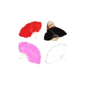 מניפה נוצות מיקס צבעים בשקית PVC עם כארד