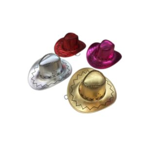 כובע קאובוי מבריק