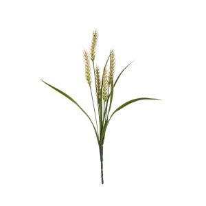 שיח חיטה פלסטיק *5 ג.40 ס"מ