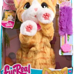 בלה החתולה פורריל